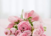 vilda blommor