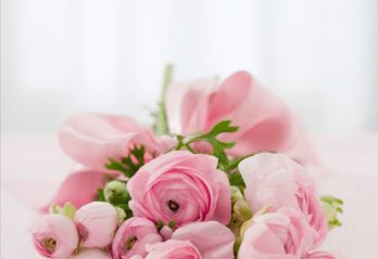 vilda blommor
