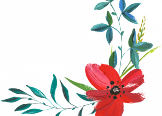 vackra blommor