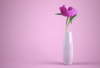 giftiga blommor